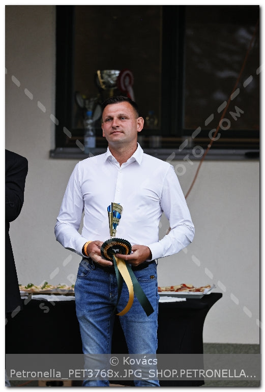 A kép az eredeti csökkentett reprezentációja