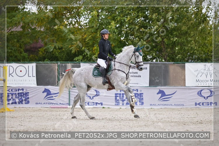A kép az eredeti csökkentett reprezentációja