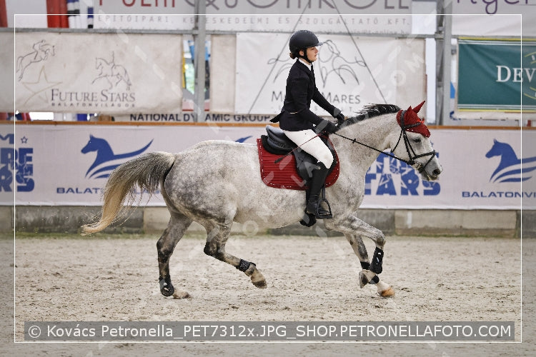 A kép az eredeti csökkentett reprezentációja