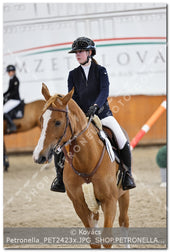 A kép az eredeti csökkentett reprezentációja