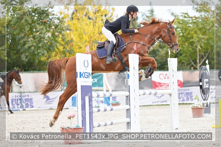A kép az eredeti csökkentett reprezentációja