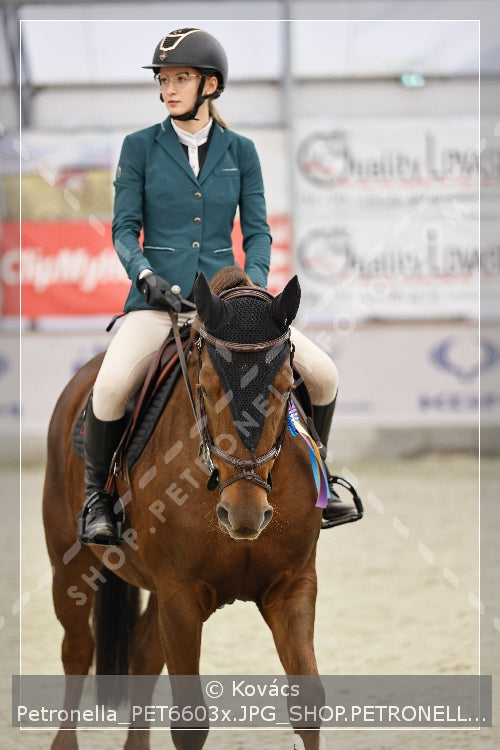 A kép az eredeti csökkentett reprezentációja