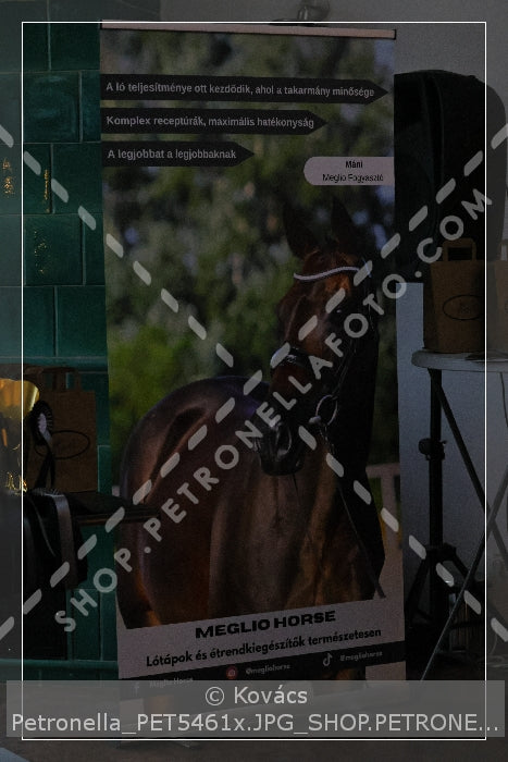 A kép az eredeti csökkentett reprezentációja