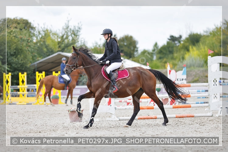 A kép az eredeti csökkentett reprezentációja