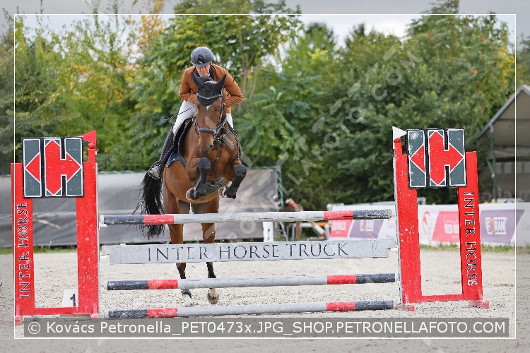 A kép az eredeti csökkentett reprezentációja