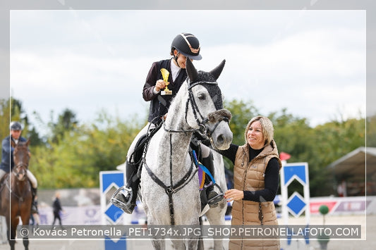 A kép az eredeti csökkentett reprezentációja