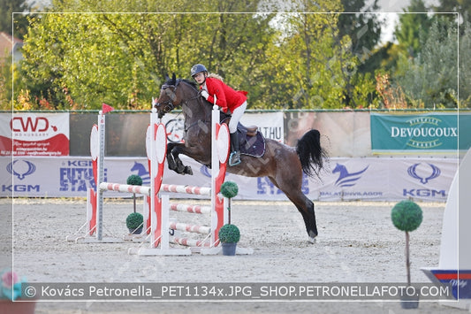 A kép az eredeti csökkentett reprezentációja