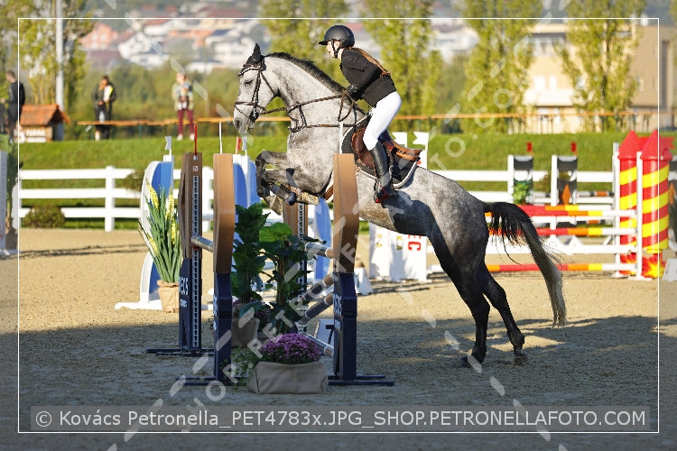 A kép az eredeti csökkentett reprezentációja