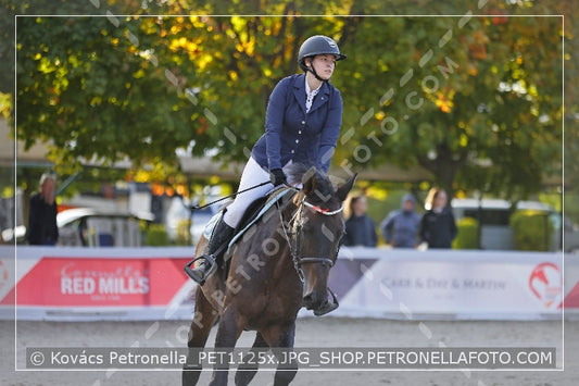 A kép az eredeti csökkentett reprezentációja