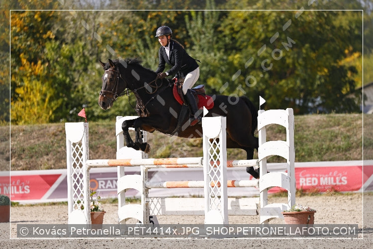 A kép az eredeti csökkentett reprezentációja