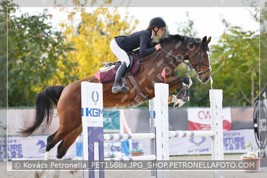 A kép az eredeti csökkentett reprezentációja