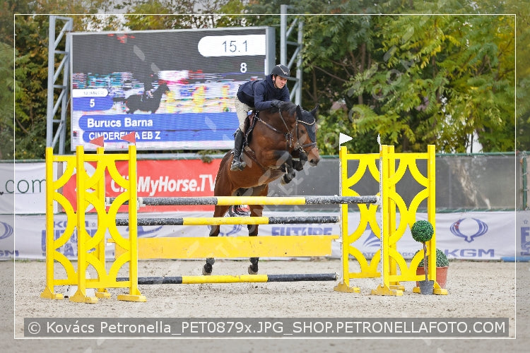 A kép az eredeti csökkentett reprezentációja