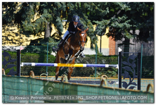 A kép az eredeti csökkentett reprezentációja