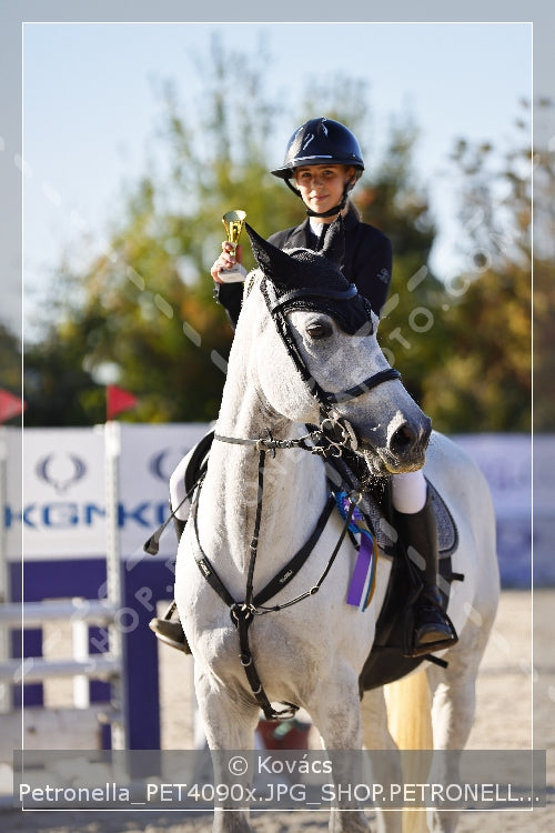 A kép az eredeti csökkentett reprezentációja