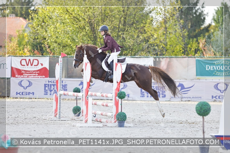 A kép az eredeti csökkentett reprezentációja