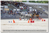 A kép az eredeti csökkentett reprezentációja