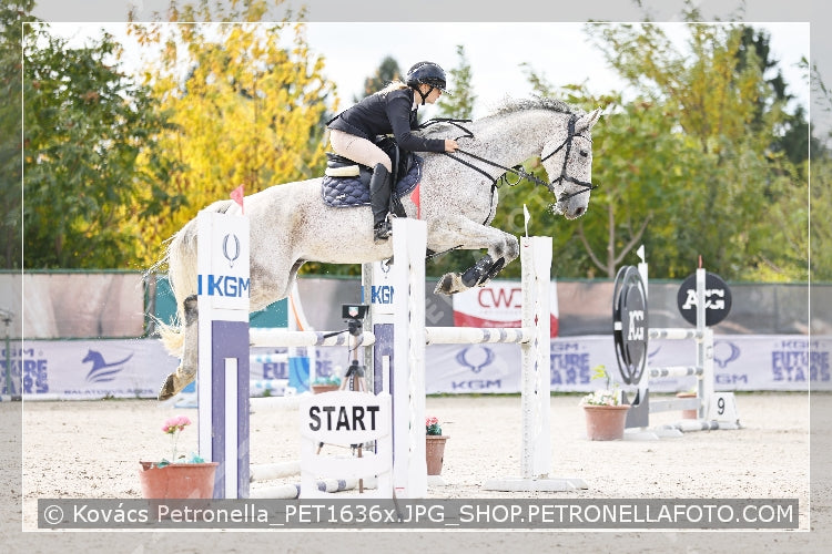 A kép az eredeti csökkentett reprezentációja