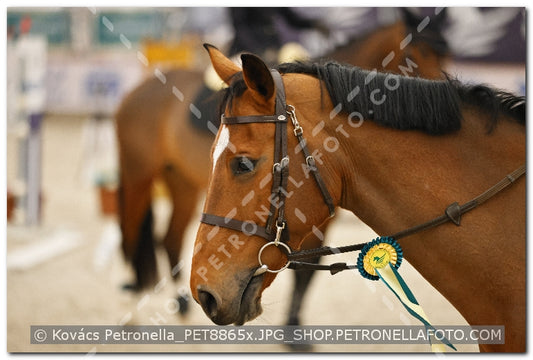 A kép az eredeti csökkentett reprezentációja