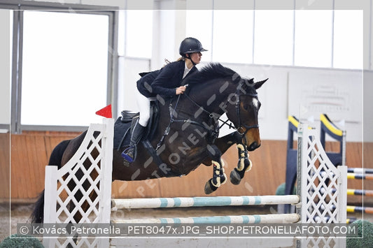 A kép az eredeti csökkentett reprezentációja