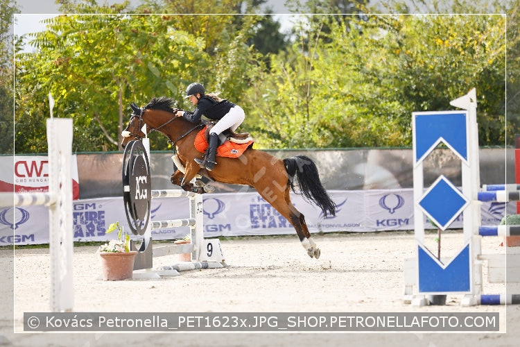 A kép az eredeti csökkentett reprezentációja