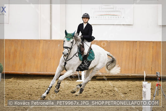 A kép az eredeti csökkentett reprezentációja