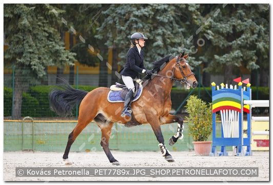 A kép az eredeti csökkentett reprezentációja