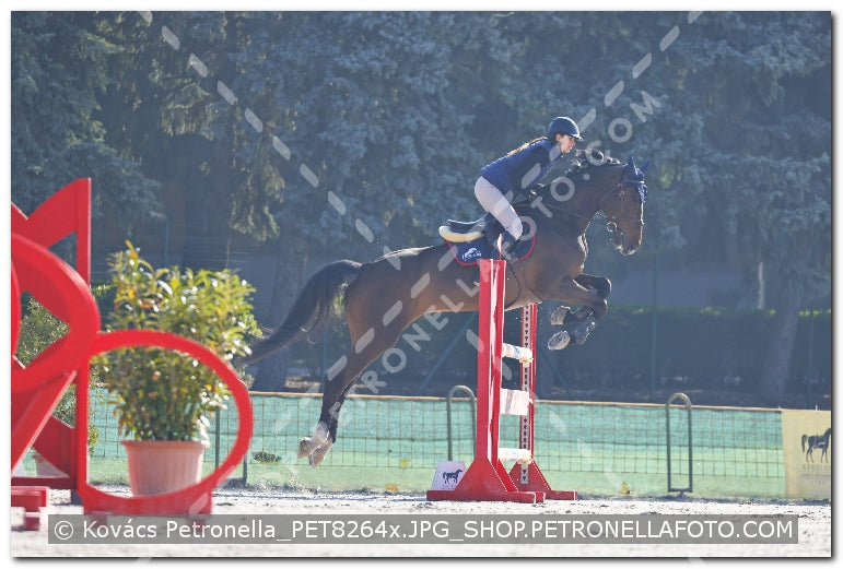 A kép az eredeti csökkentett reprezentációja