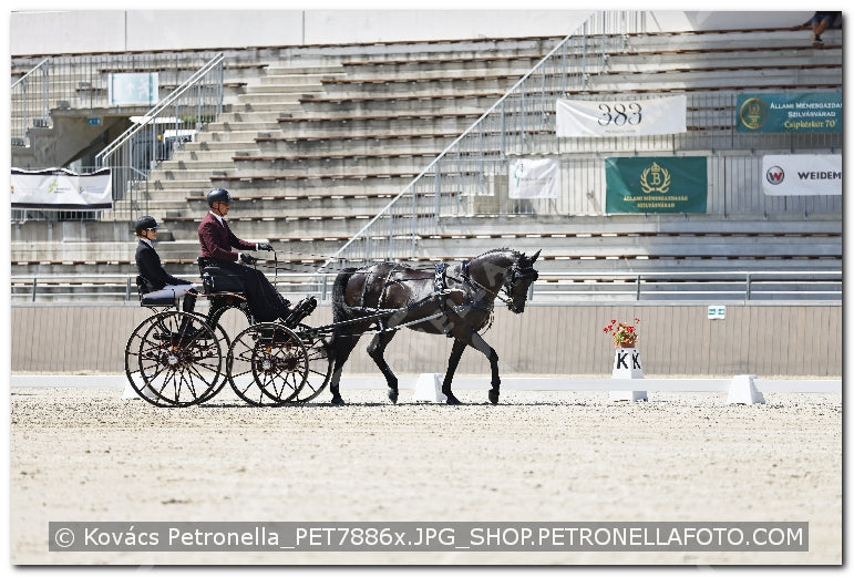 A kép az eredeti csökkentett reprezentációja