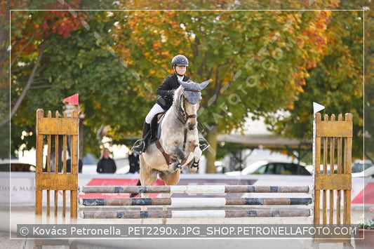 A kép az eredeti csökkentett reprezentációja