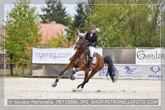 A kép az eredeti csökkentett reprezentációja