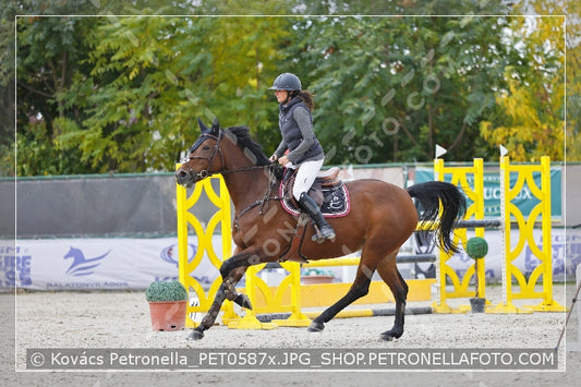 A kép az eredeti csökkentett reprezentációja
