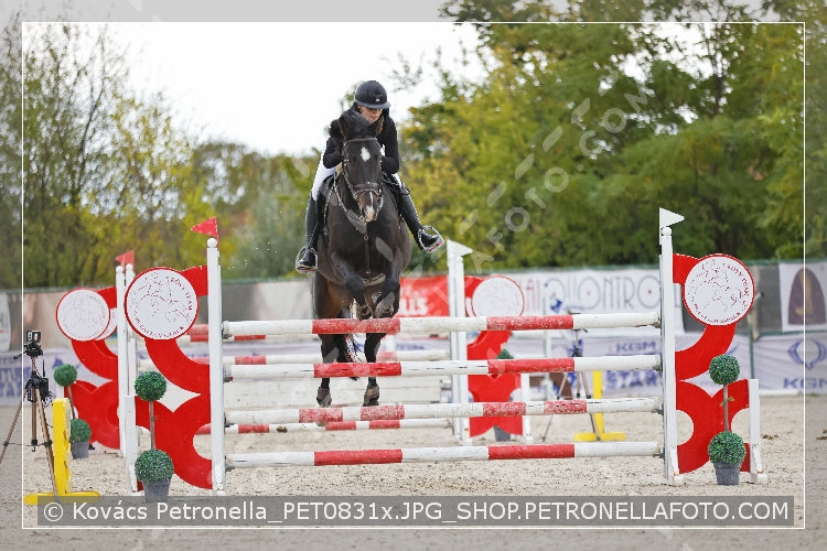 A kép az eredeti csökkentett reprezentációja