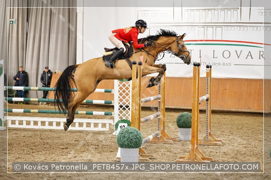 A kép az eredeti csökkentett reprezentációja