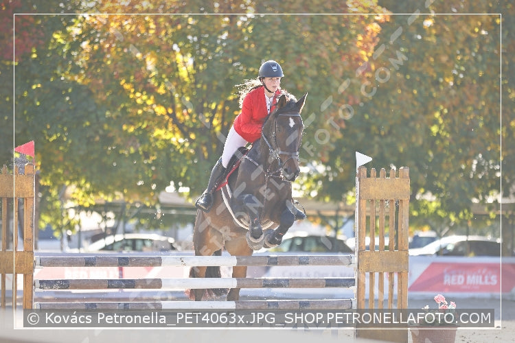 A kép az eredeti csökkentett reprezentációja