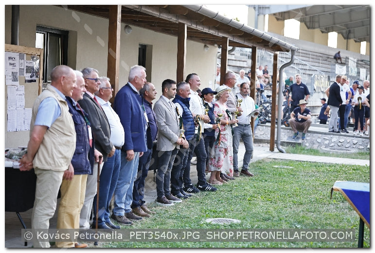 A kép az eredeti csökkentett reprezentációja