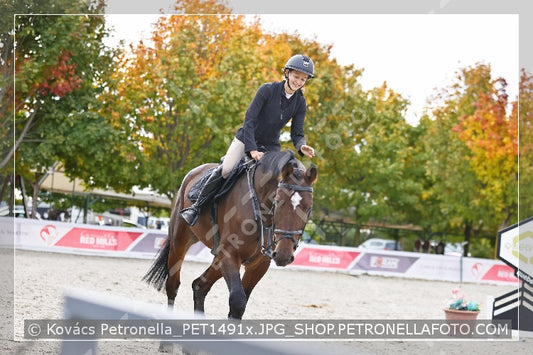 A kép az eredeti csökkentett reprezentációja