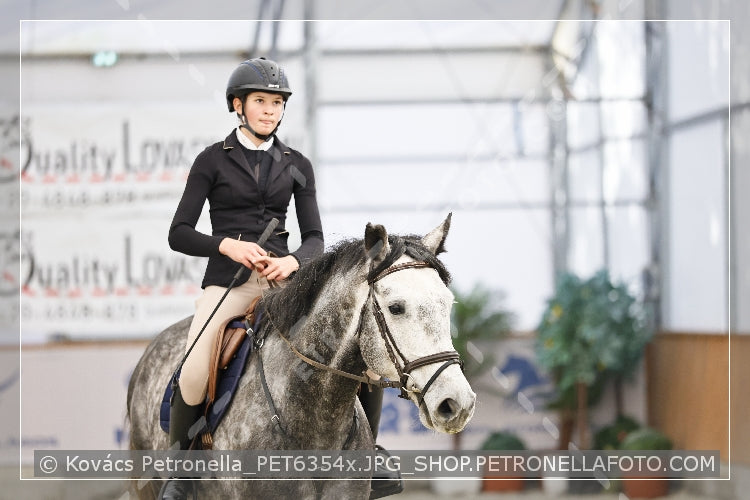 A kép az eredeti csökkentett reprezentációja