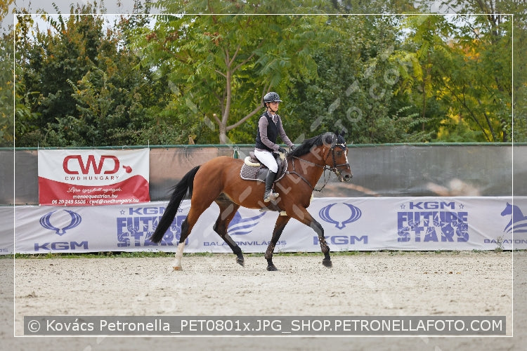 A kép az eredeti csökkentett reprezentációja