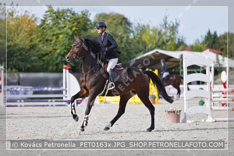 A kép az eredeti csökkentett reprezentációja