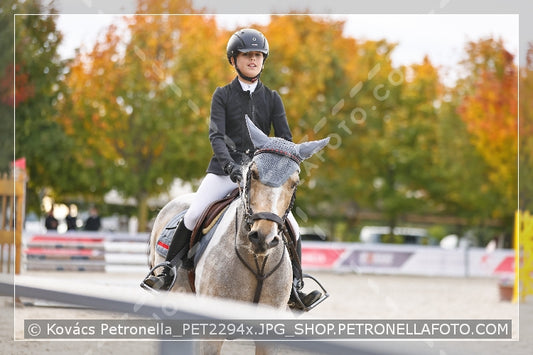 A kép az eredeti csökkentett reprezentációja