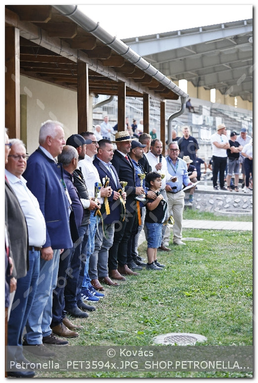 A kép az eredeti csökkentett reprezentációja