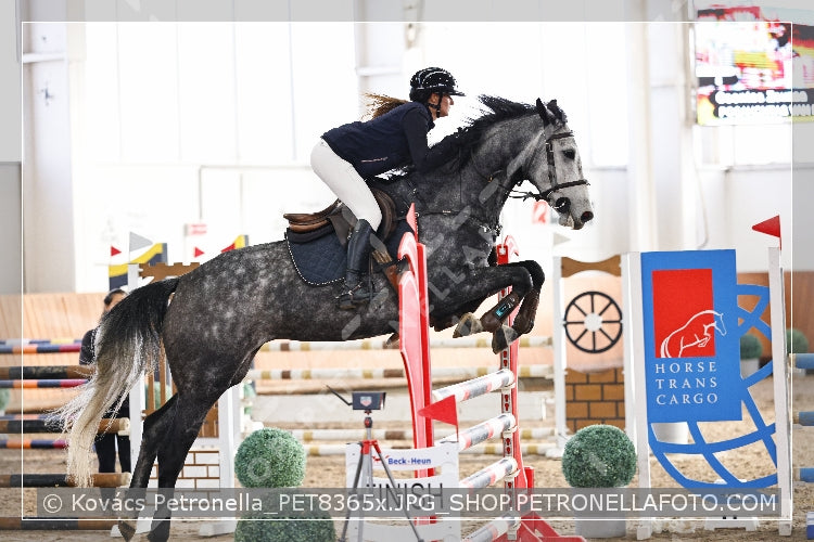 A kép az eredeti csökkentett reprezentációja