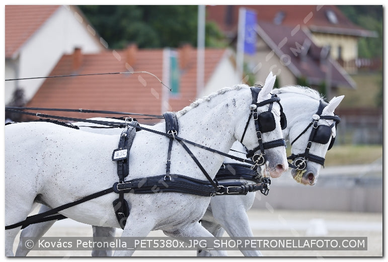 A kép az eredeti csökkentett reprezentációja