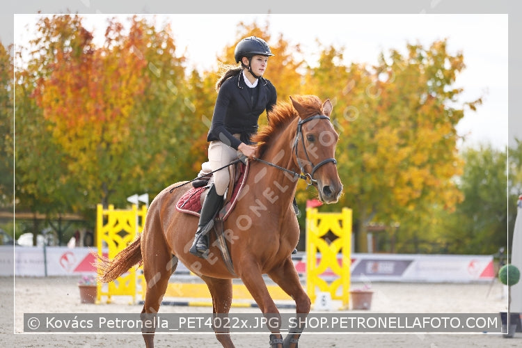 A kép az eredeti csökkentett reprezentációja