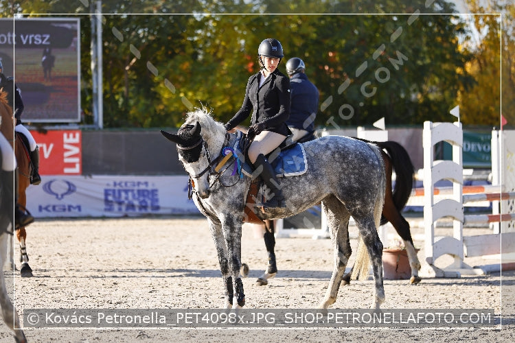 A kép az eredeti csökkentett reprezentációja