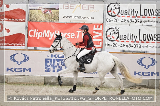 A kép az eredeti csökkentett reprezentációja