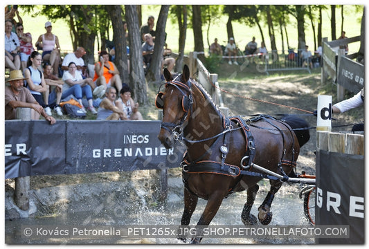 A kép az eredeti csökkentett reprezentációja