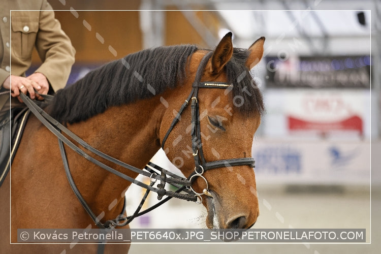 A kép az eredeti csökkentett reprezentációja