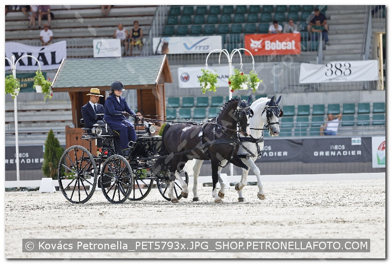 A kép az eredeti csökkentett reprezentációja