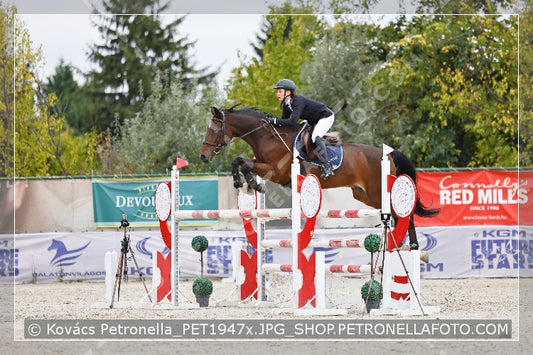 A kép az eredeti csökkentett reprezentációja